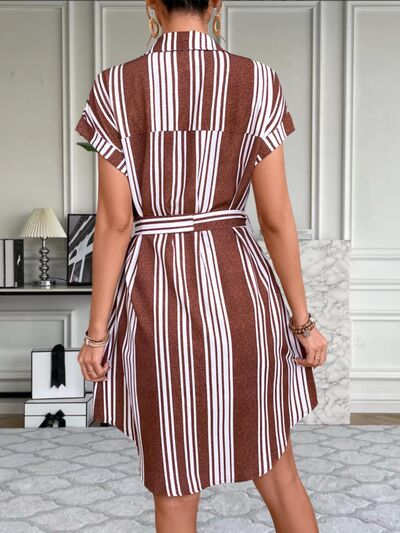 Striped Button Up Tie Waist Mini Dress